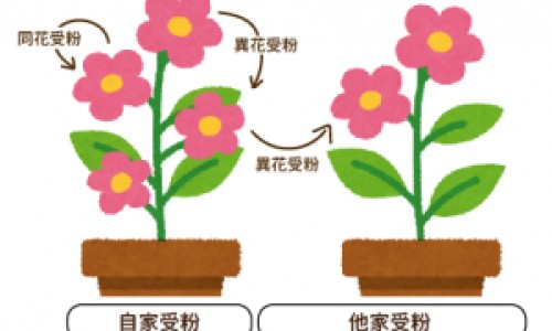 婴儿热到了会发烧吗怎么办、婴儿热着了会拉肚子吗 -婴儿热到了会发烧吗网